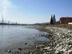 Stav hladiny 20.03.2012 - severozpadn breh jazera Novky pohad smerom na Juh