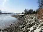 Stav hladiny 20.03.2012 - vchodn breh jazera Novky pohad smerom na Juh