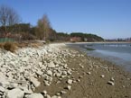 Stav hladiny 20.03.2012 - vchodn breh jazera Novky pohad smerom na Sever