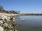 Stav hladiny 20.03.2012 - juhozpadn breh jazera Novky pohad smerom na Sever