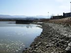 Stav hladiny 20.03.2012 - jun breh jazera Novky pohad smerom na Vchod (stavidl)